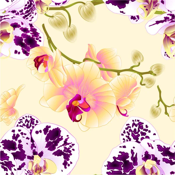 Texture Sans Couture Orchidées Jaunes Tachetées Tiges Phalaenopsis Avec Des — Image vectorielle