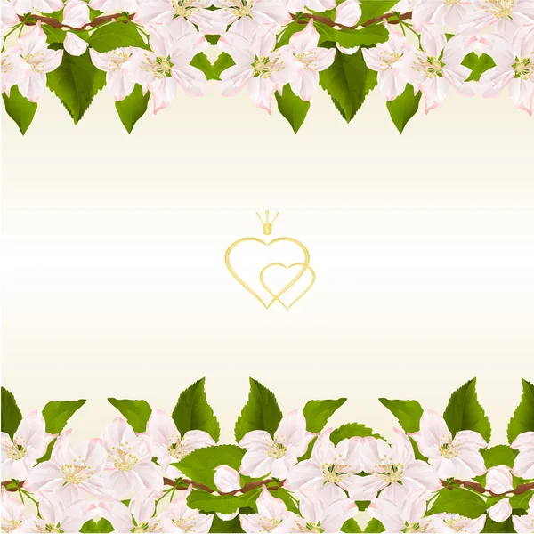 Floral Οριζόντιου Περιγράμματος Απρόσκοπτη Υπόβαθρο Ανθισμένο Κλαδί Της Μηλιάς Λουλούδια — Διανυσματικό Αρχείο