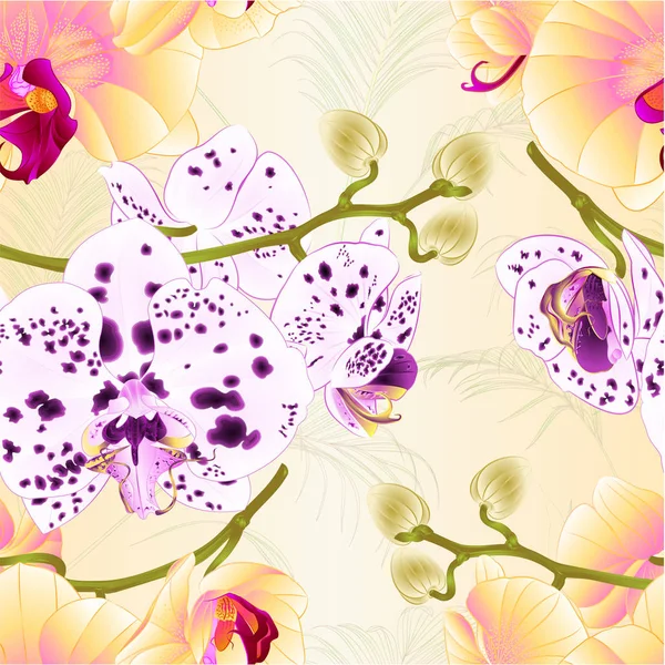 Textura Sem Costura Ramo Orquídeas Flores Amarelo Pontos Roxo Branco — Vetor de Stock