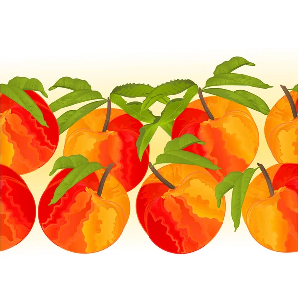 Rand Nahtlosen Hintergrund Pfirsich Mit Blättern Süße Frucht Vektor Illustration — Stockvektor