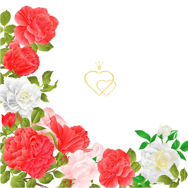 鲜花边框喜庆的背景与盛开的玫瑰和花蕾老式矢量插图在室内设计贺卡中的应用 — 图库矢量图片