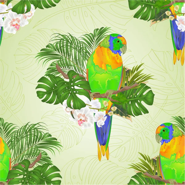 Textura Sem Costura Sun Conure Papagaio Pássaro Tropical Uma Orquídea — Vetor de Stock