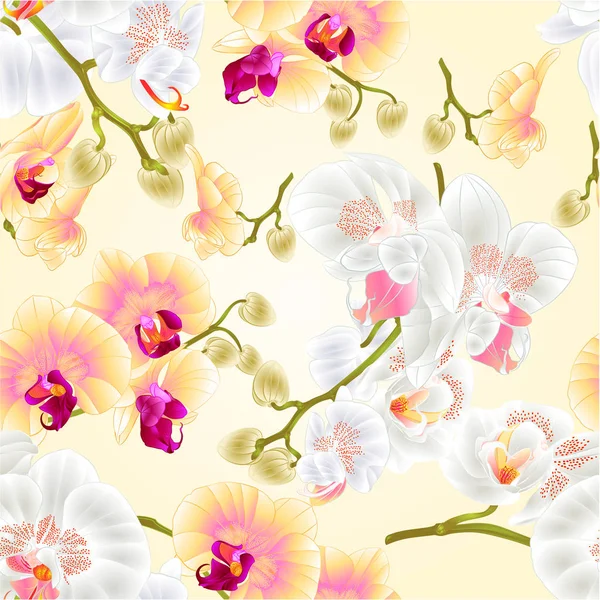 Textura Sin Costura Hermosas Orquídeas Phalaenopsis Tallos Amarillos Blancos Con — Vector de stock