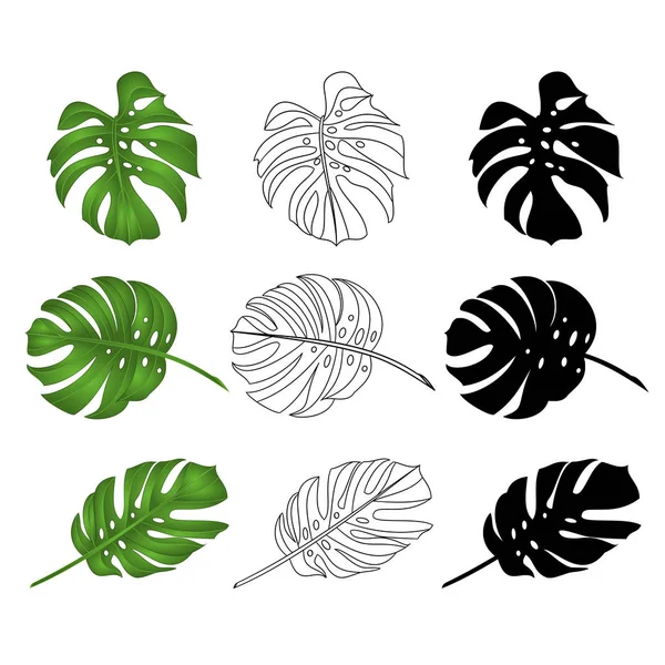Филодендрон Тропических Джунглей Листья Натуральные Очертания Силуэт Белом Фоне Векторные — стоковый вектор