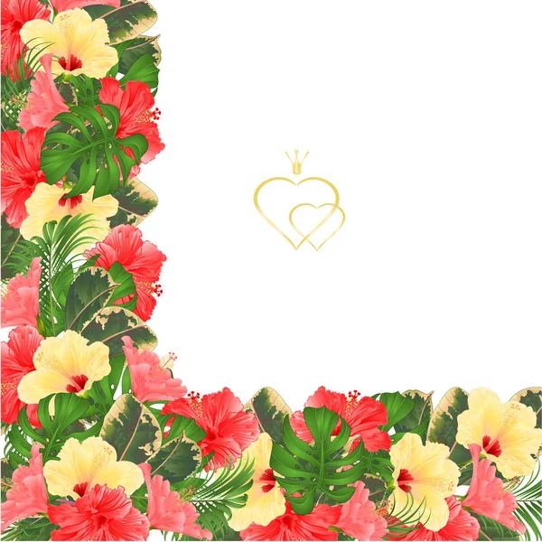 Keret Virágos Határ Ünnepi Háttér Virágzó Sárga Rózsaszín Hibiszkusz Rügyek — Stock Vector