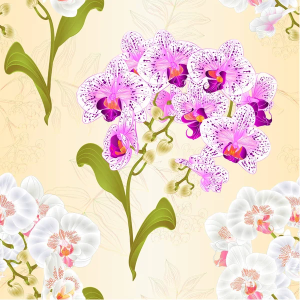 Bezešvých Textur Větví Orchidejí Phalaenopsis Bílé Fialové Bílé Květy Zelené — Stockový vektor