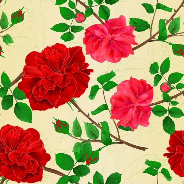 Textura Sem Costura Hastes Flor Vermelho Rosa Rosas Folhas Vintage — Vetor de Stock