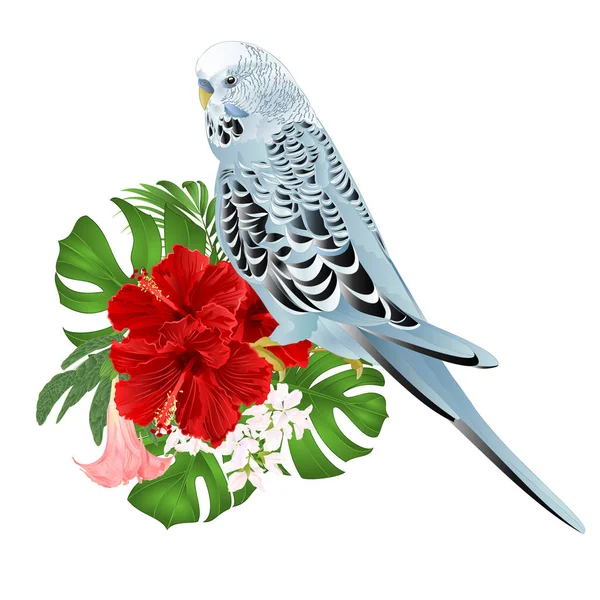 Папуги Хвилясті Домашнього Улюбленця Синій Пет Папуга Букет Тропічні Квіти — стоковий вектор