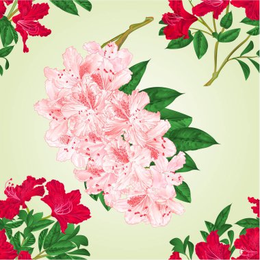 Sorunsuz doku orman gülleri kırmızı ve hafif pembe çiçeklerle çırpı ve vintage vektör botanik çizim düzenlenebilir el çizmek bırakır