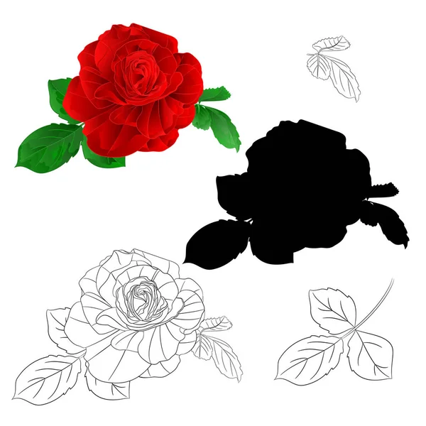 Rote Rose Einfacher Stiel Mit Natürlichen Blättern Und Umriss Und — Stockvektor