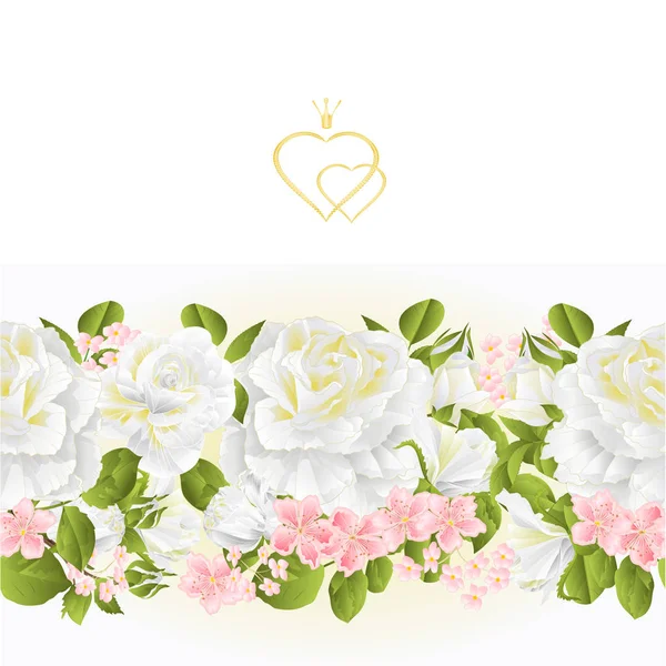 Borda Floral Sem Costura Fundo Branco Rosas Vetor Vintage Ilustração — Vetor de Stock