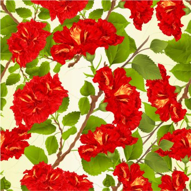 Sorunsuz doku kırmızı hibiscus dalları tropik çiçekler vintage vektör botanik illüstrasyon düzenlenebilir el çizmek