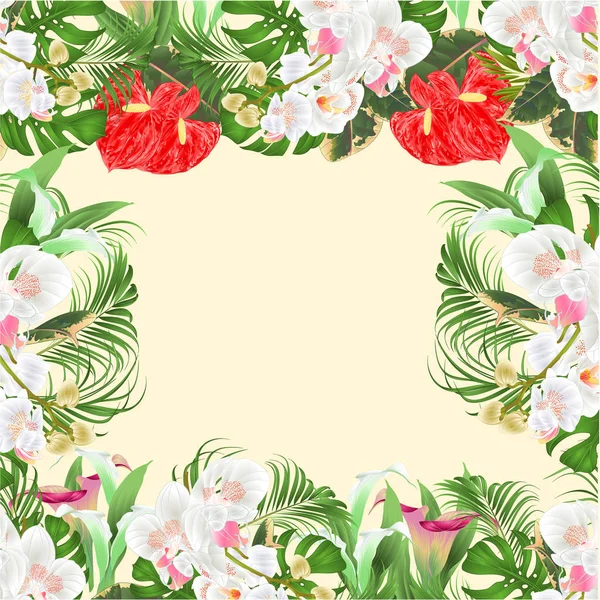 Ramo Marco Floral Con Flores Tropicales Arreglo Floral Con Hermosas — Vector de stock