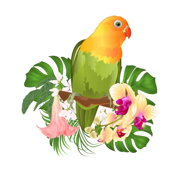 Папуга Agapornis Невеликий Папуга Тропічна Птах Стоячи Відділення Brugmansia Жовтий — стоковий вектор