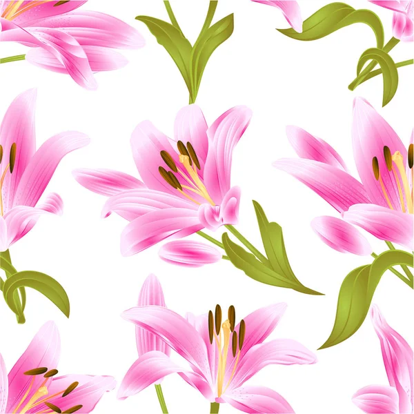 Bezešvých Textur Pink Lily Lilium Candidum Květ Listy Bud Bílým — Stockový vektor