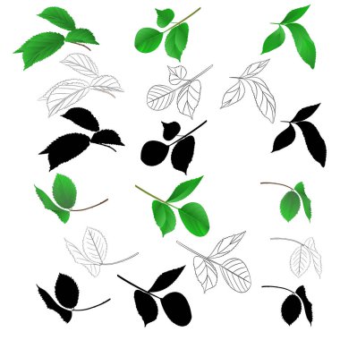 Dalları gül yaprakları doğal anahat ve siluet arka plan vintage ile düzenlenebilir el çizmek illüstrasyon vektör