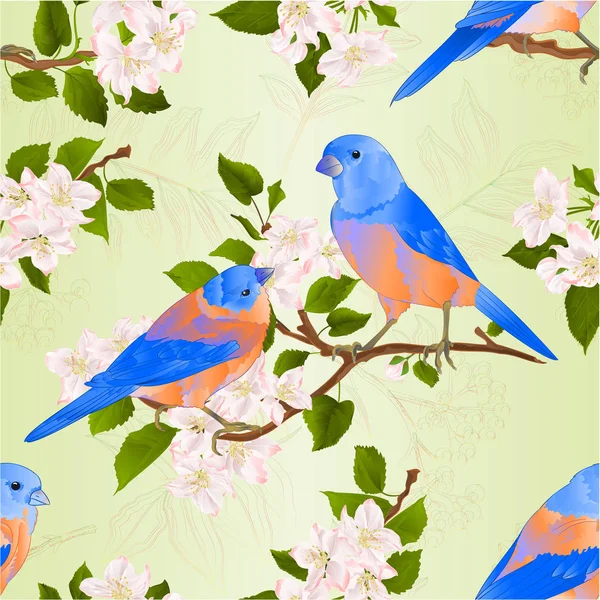 无缝纹理蓝鸟画眉小 Songbirdons 在苹果树分支与花卉复古矢量插图可编辑手绘手画 — 图库矢量图片