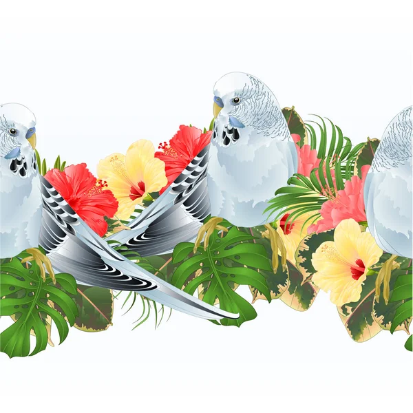 Granicy Tropikalny Tło Papużka Falista Niebieski Parakeet Pieścić Hibiscus Wektor — Wektor stockowy