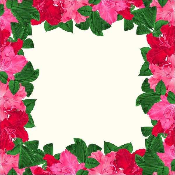 Цветочные Рамки Праздничный Фон Цветущими Ветвями Розовые Красные Цветы Рододендроны — стоковый вектор
