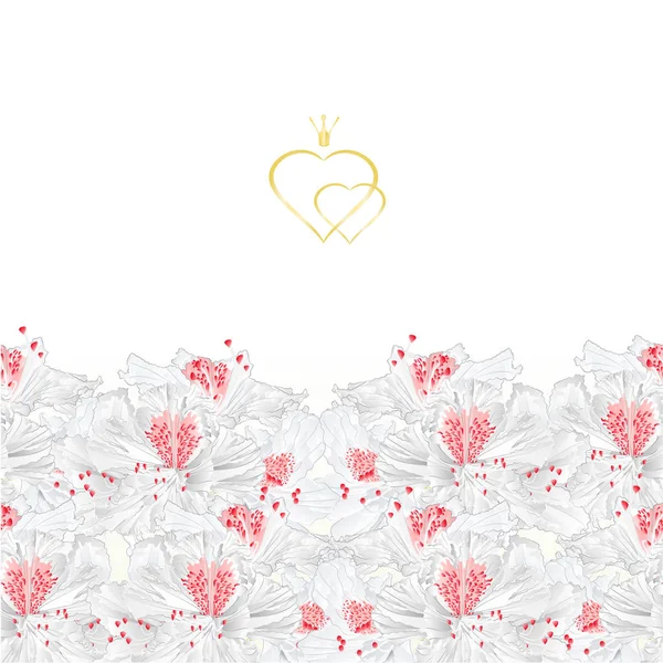 花卉边框垂直无缝背景与盛开的白花杜鹃矢量插图用于室内设计 艺术品 — 图库矢量图片