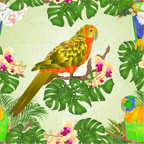 Seamless Texture Sun Conure Parrots Tropical Exotic Birds Beautiful Yellow — Stock Vector