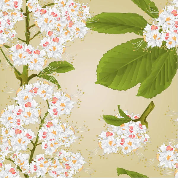 Tekstura Drzewa Kasztanowca Kwiaty Liści Wiosną Tło Vintage Wektor Ilustracja — Wektor stockowy