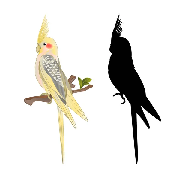 Amarelo Cockatiel Bonito Pássaro Tropical Engraçado Papagaio Aquarela Estilo Fundo —  Vetores de Stock