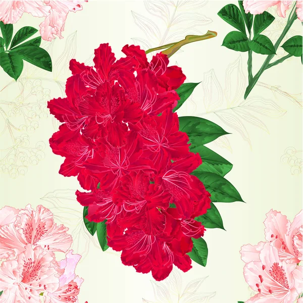 Flores Textura Sem Costura Vermelho Rosa Claro Rododendros Galhos Arbusto — Vetor de Stock