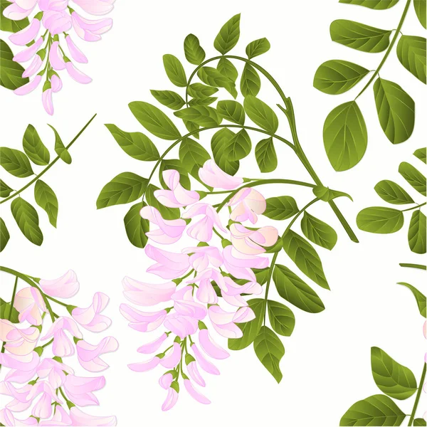 Seamless Texture Locust Tree Twig Leaves Flowers Vintage Vector Illustration — Stock Vector
