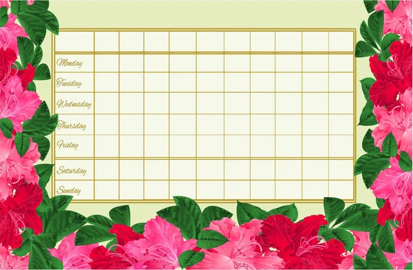 Timetable Weekly Schedule Blooming Pink Red Flowers Rhododendrons Vintage Vector — Stock Vector