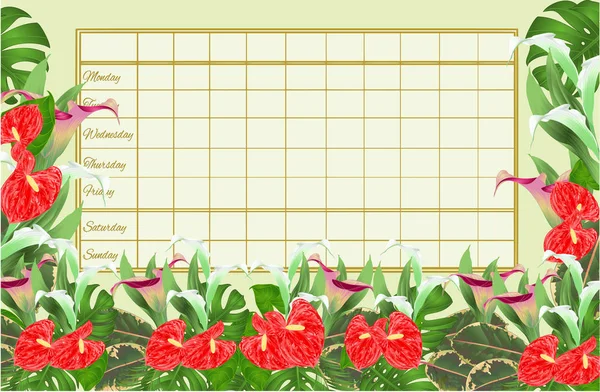 Horario Horario Semanal Con Azucenas Flor Cala Anthurium Palmera Filodendro — Vector de stock