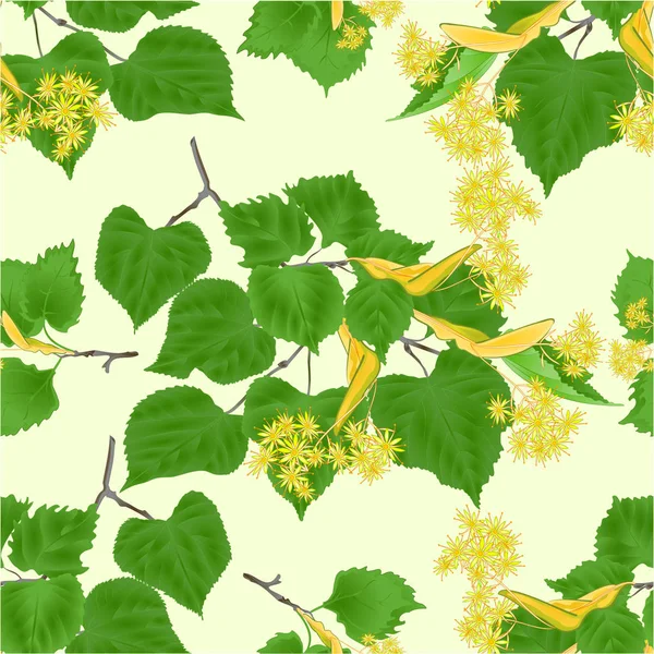 Seamless Texture Branch Tilia Linden Tvig Leaves Linden Flowers White — Stock Vector