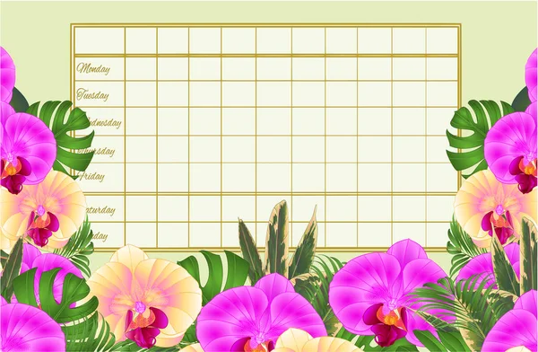 Timetable Weekly Schedule Tropical Flowers Beautiful Yellow Purple Orchids Palm — Stock Vector