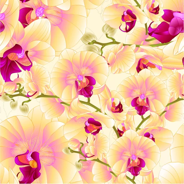 Textura Sin Costura Tallos Orquídeas Flores Amarillas Phalaenopsis Planta Tropical — Vector de stock