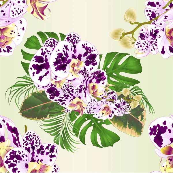 Textura Sem Costura Flores Tropicais Com Orquídeas Manchadas Phalenopsis Arranjo — Vetor de Stock