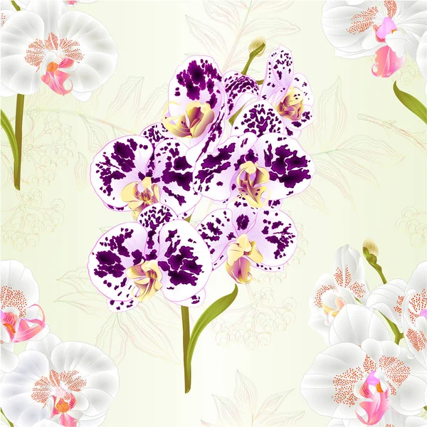 Textura Sem Emenda Ramo Orquídea Phalaenopsis Flores Brancas Manchadas Folhas — Vetor de Stock