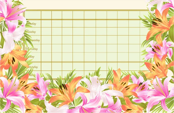 Timetable Weekly Schedule Blooming Lilies Vintage Vector Illustration Editable Hand — Stock Vector