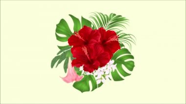 Video animasyon sorunsuz döngü buket tropikal çiçek çiçek düzenleme, kırmızı ebegümeci, palm, bitkiyi ve Brugmansia hareket