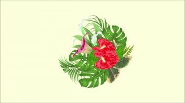 Video animasyon sorunsuz döngü güzel zambak Cala ve antoryum, palm, bitkiyi ve ficus hareket ile tropikal çiçek çiçek Aranjman buket