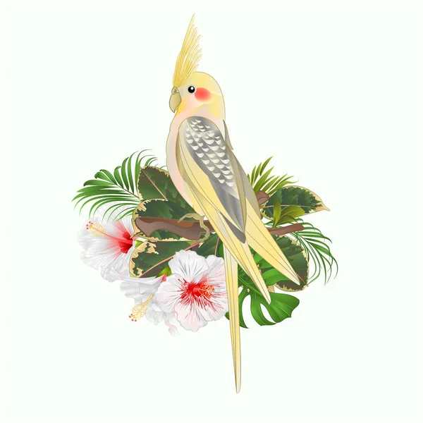 Cockatiel Jaune Mignon Oiseau Tropical Drôle Perroquet Hibiscus Blanc Style — Image vectorielle