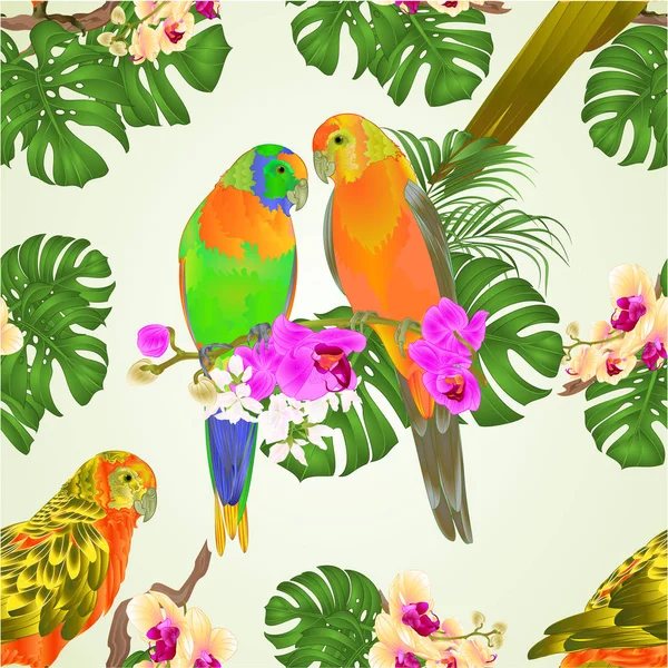 Bezešvých Textur Slunce Conure Papoušky Tropických Exotických Ptáků Krásné Orchideje — Stockový vektor