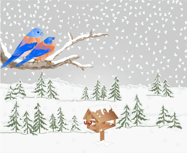 冬天风景森林与雪与树的分支和蓝鸟与饲养者圣诞节主题自然背景复古向量插图可编辑的手画地方为文本 — 图库矢量图片