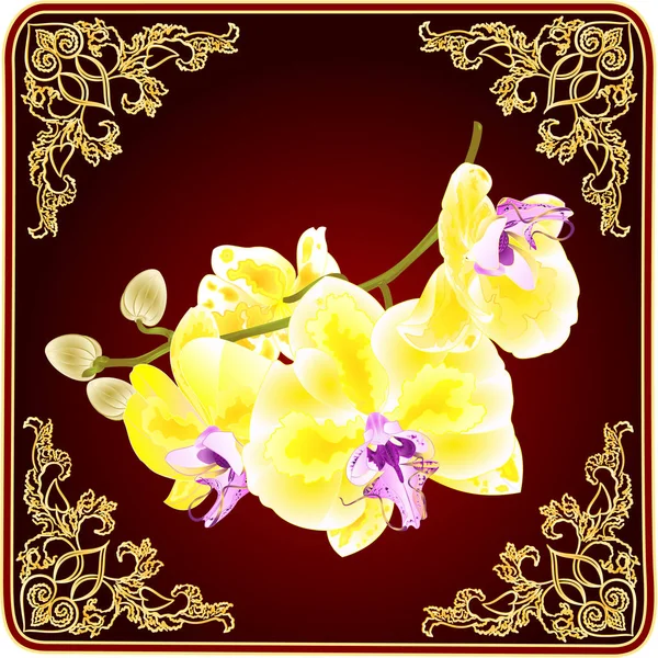 Storczyk Phalaenopsis Wynikają Złote Kwiaty Pąki Roślin Tropikalnych Czerwonym Tle — Wektor stockowy