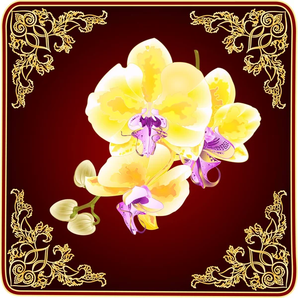 Stelo Orchidea Phalaenopsis Con Fiori Oro Germogli Piante Tropicali Uno — Vettoriale Stock