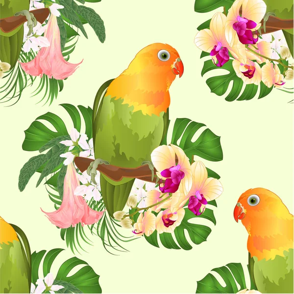 Bezešvých Textur Papoušek Agapornis Lovebird Tropický Pták Stojící Větev Brugmansia — Stockový vektor