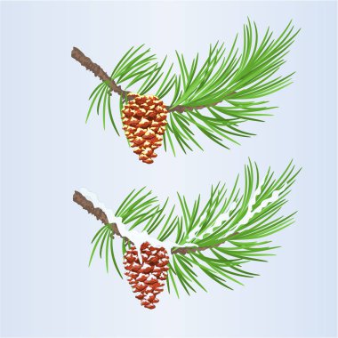 Düzenlenebilir el çizmek vintage vektör çizim Noel ve yılbaşı dekorasyon çam kozalakları altın ve kar çam kozalakları köknar ağacı dalları