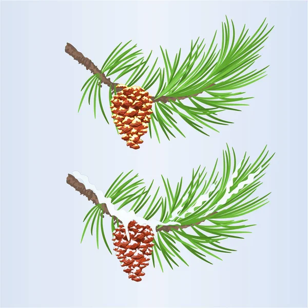 Vánoční Novoroční Dekorace Šišky Zlatý Sníh Kužely Jedle Borovice Větví — Stockový vektor