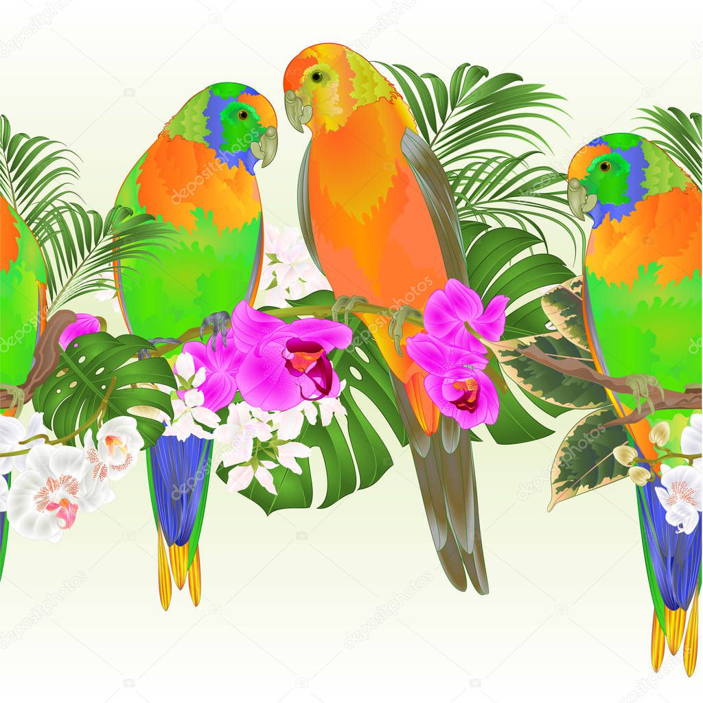 Tropical border seamless background Sun Conure Parrots tropical birds standing  on a branch white and purple  orchid  Phalaenopsis vintage vector Illustration for use in interior design, artwork, dishes, clothing,  greeting cards,packaging
