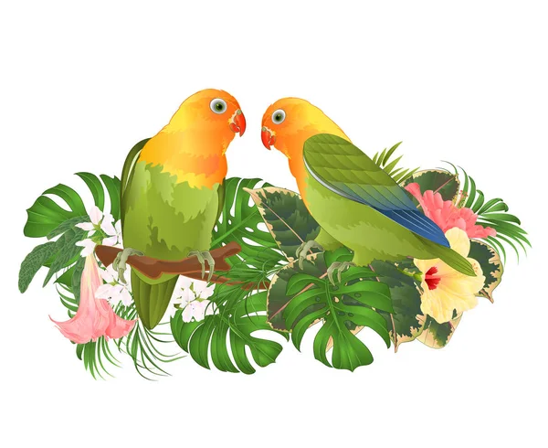 Попугаи Agapornis Lovebird Тропических Птиц Стоящих Ветке Brugmansia Розовым Желтым — стоковый вектор