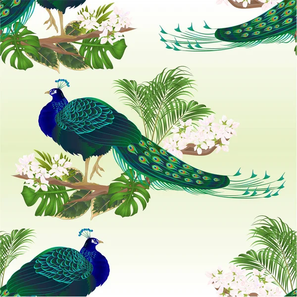 Bezešvá Textura Paví Krásy Exotických Ptáků Přírodní Tropické Květiny Akvarel — Stockový vektor